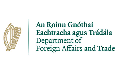 Irish goverment