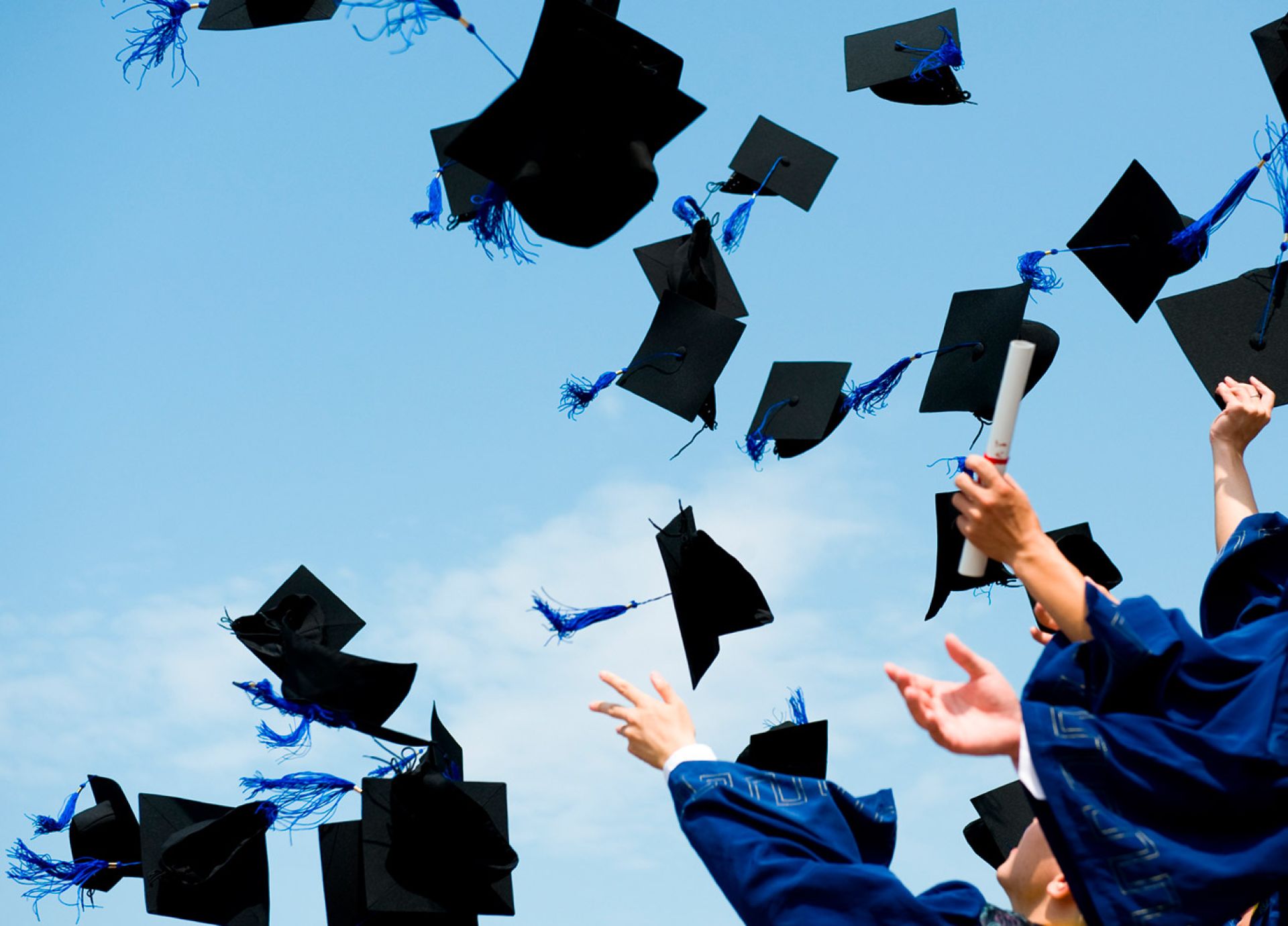 Education & Skills