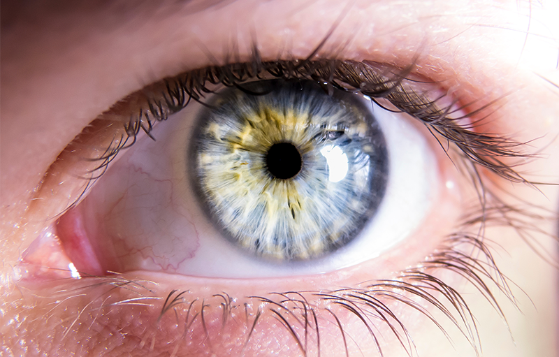 Close up photograph of a person's eye
