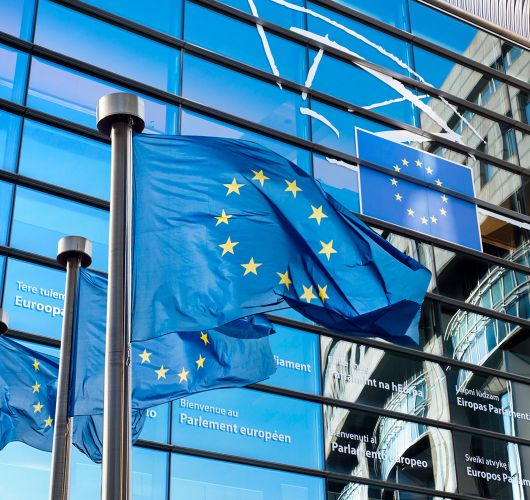 European Union flag